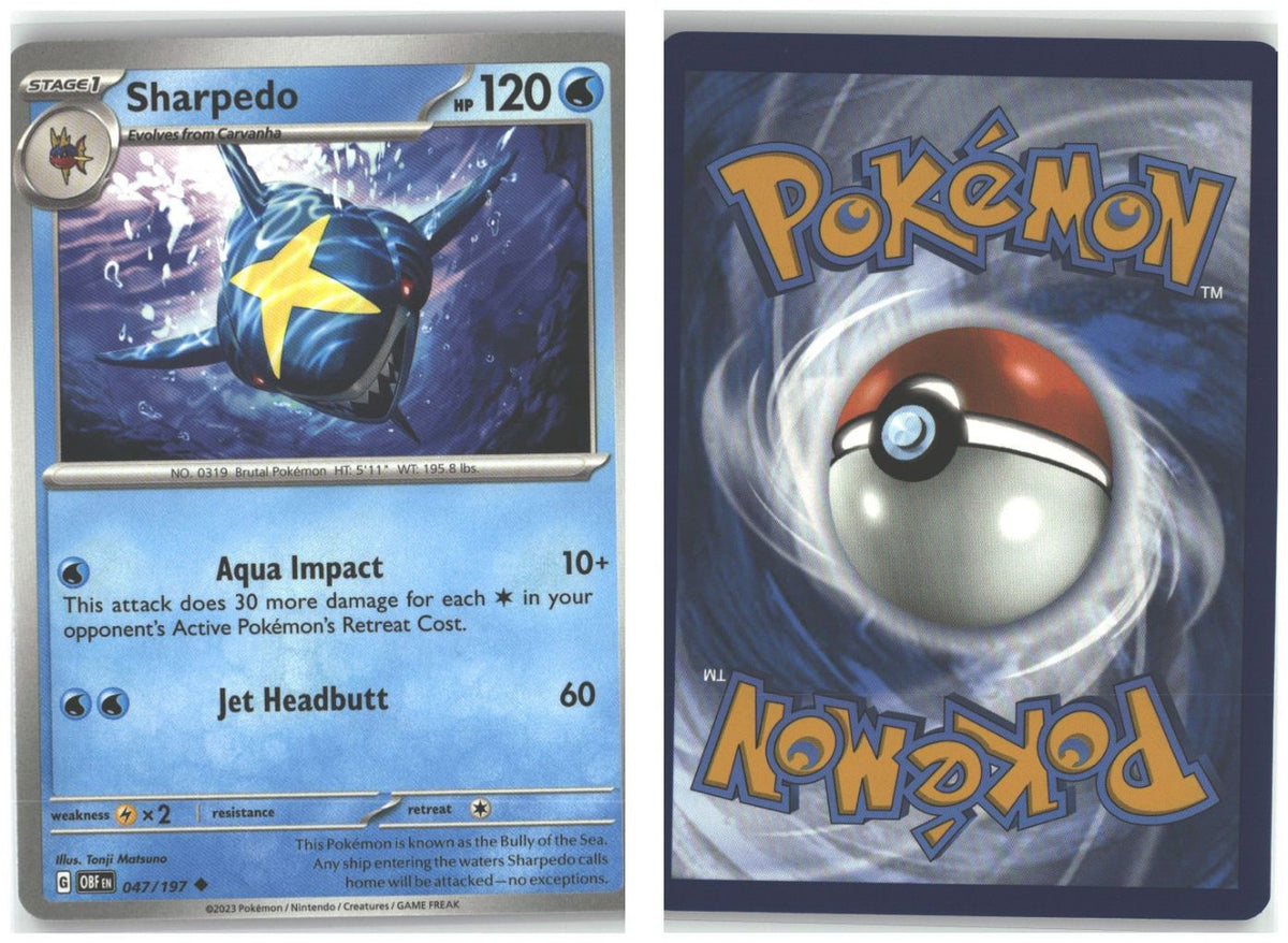 Front + Back scan