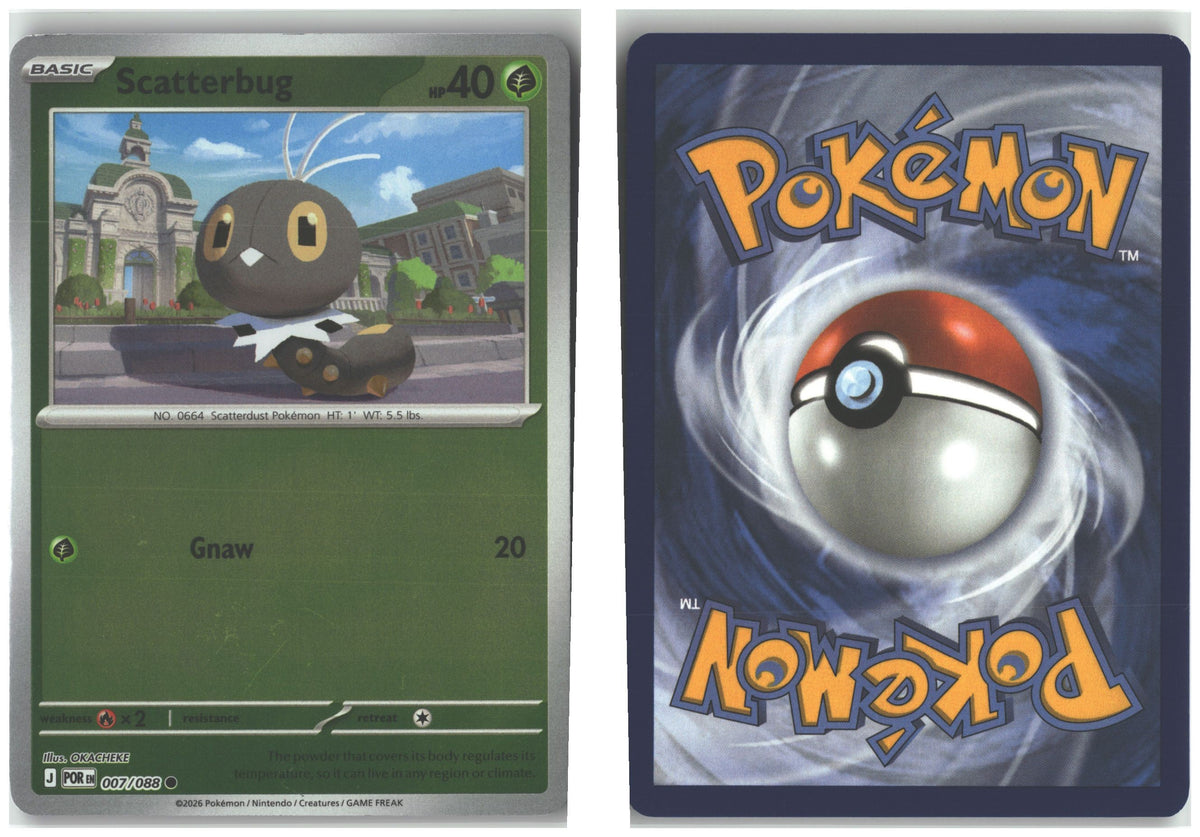 Front + Back scan