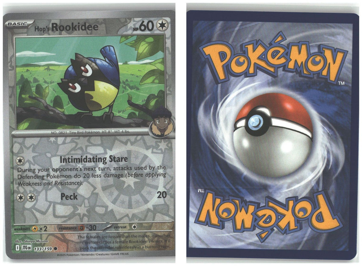 Front + Back scan