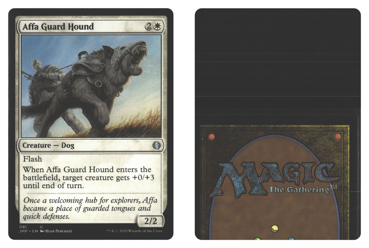 Front + Back scan