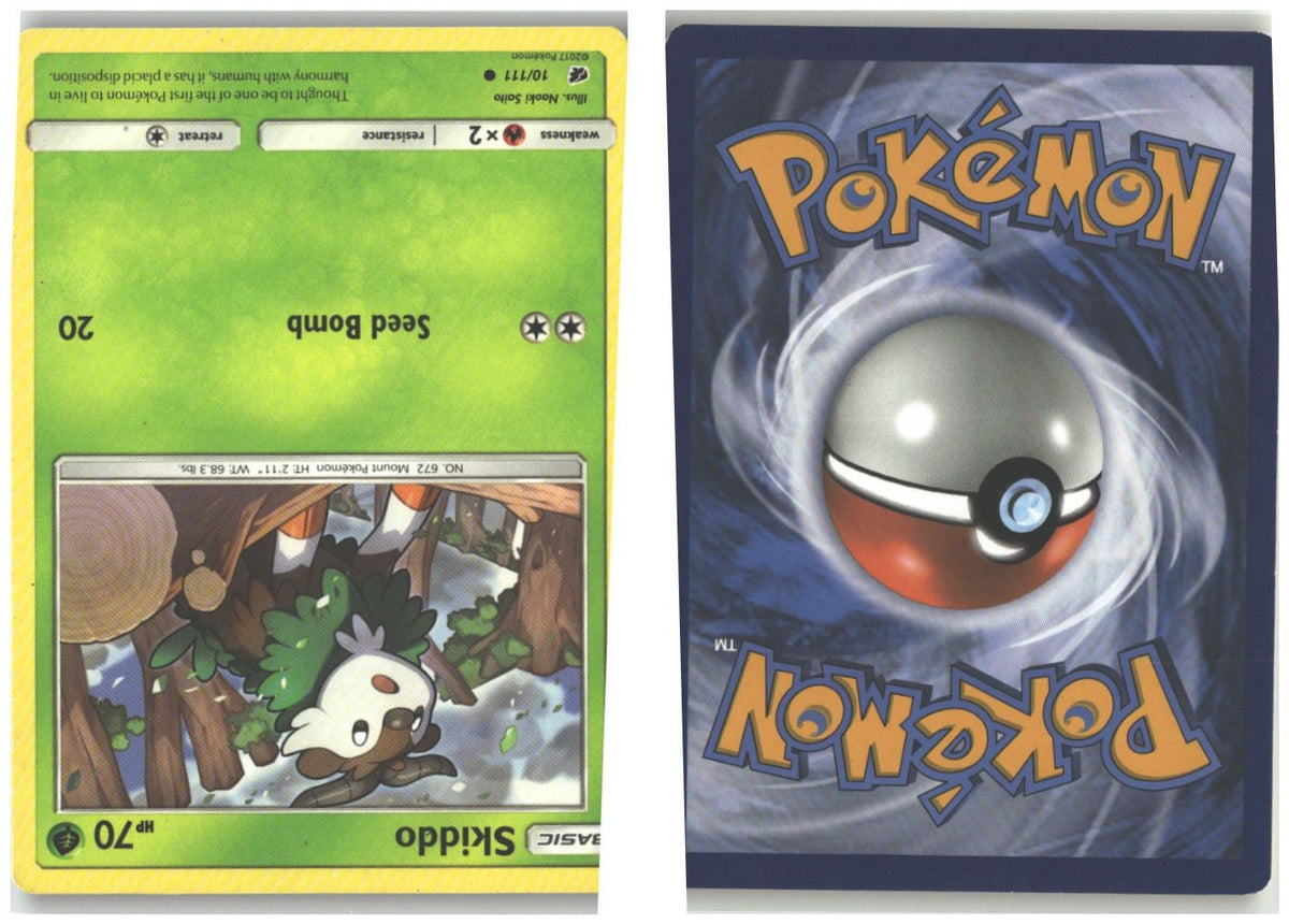 Front + Back scan