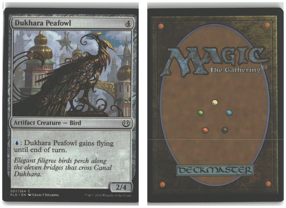Front + Back scan