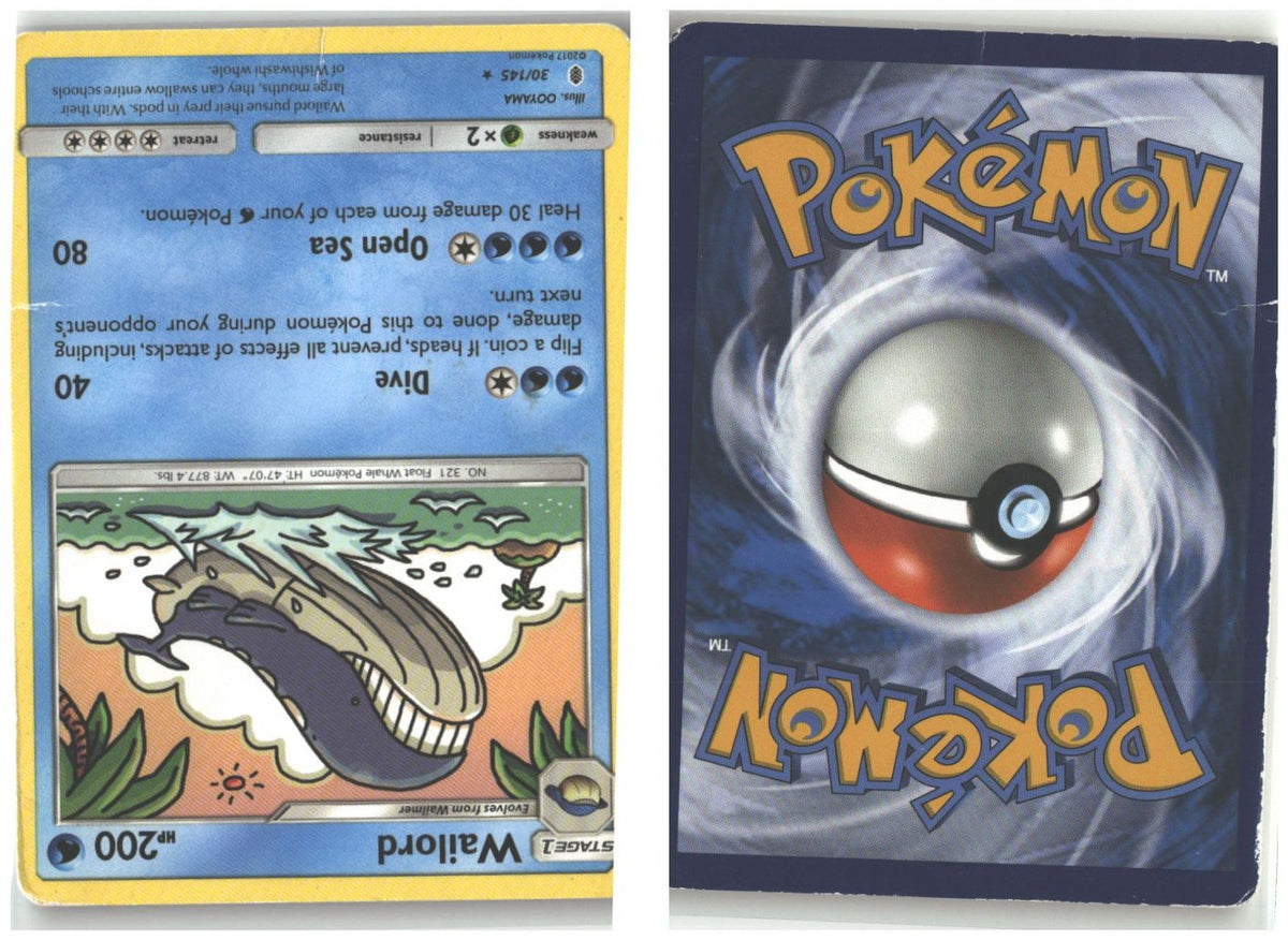 Front + Back scan