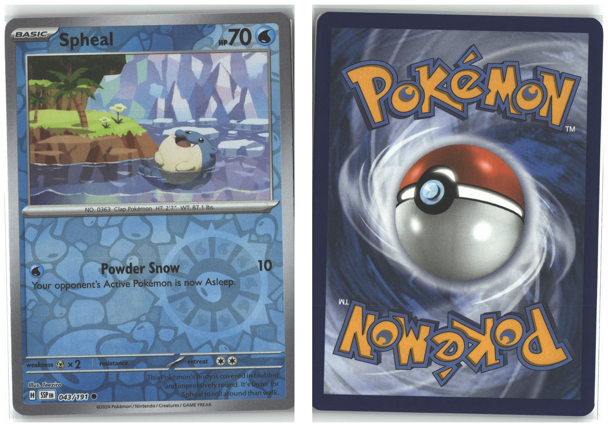 Front + Back scan