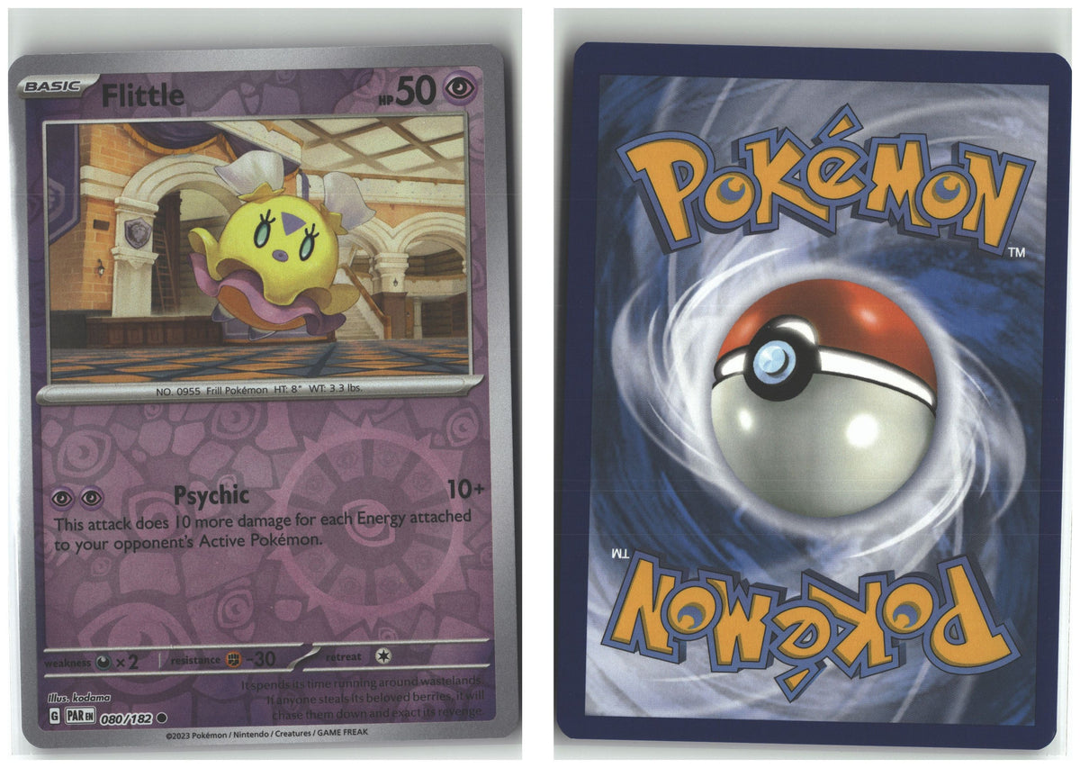 Front + Back scan