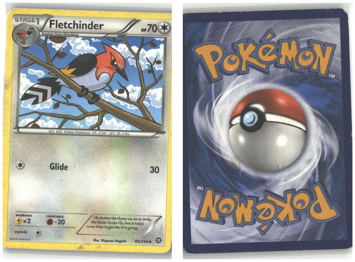 Front + Back scan