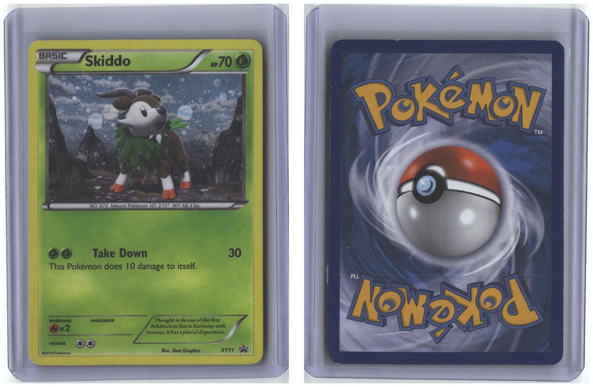 Front + Back scan