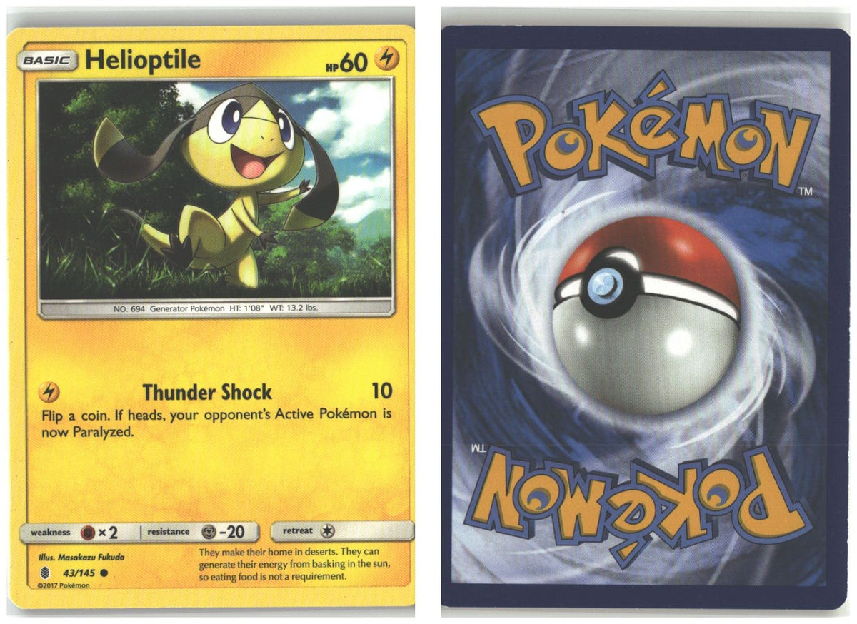 Front + Back scan