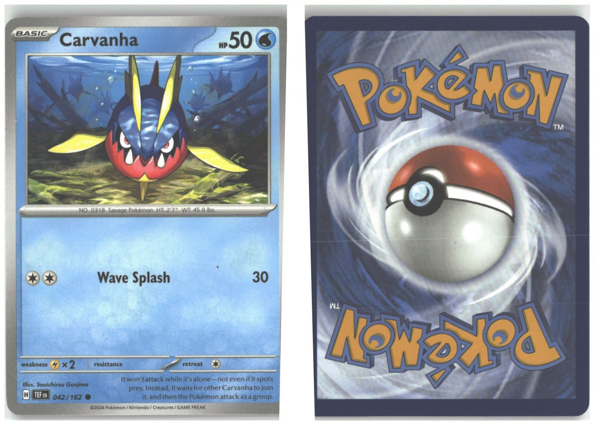 Front + Back scan