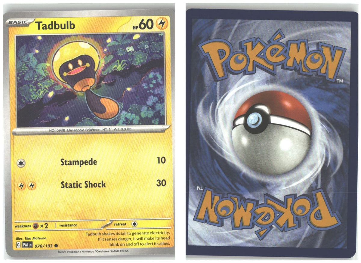 Front + Back scan