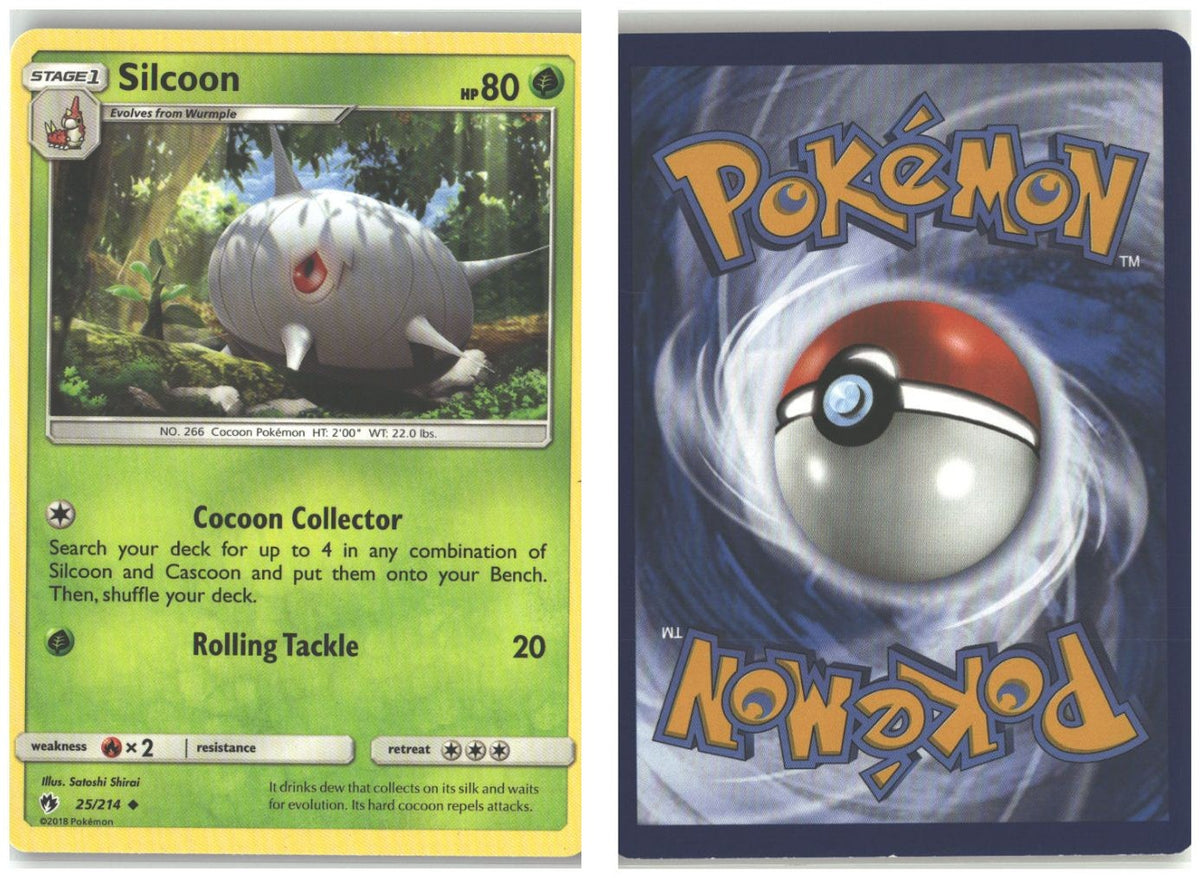 Front + Back scan