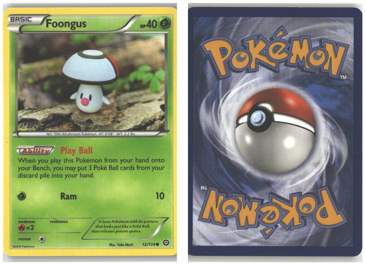 Front + Back scan