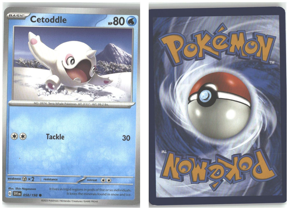 Front + Back scan