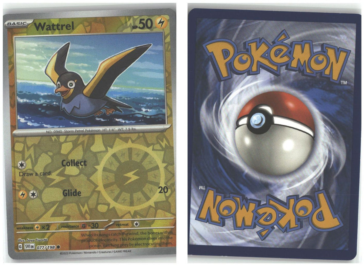 Front + Back scan