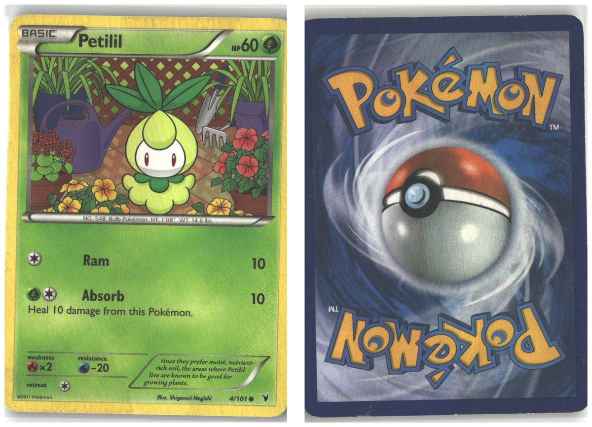 Front + Back scan