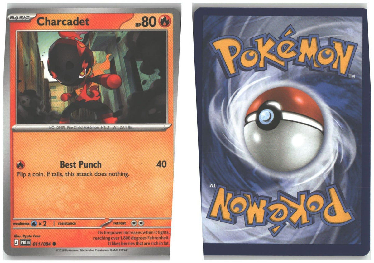 Front + Back scan