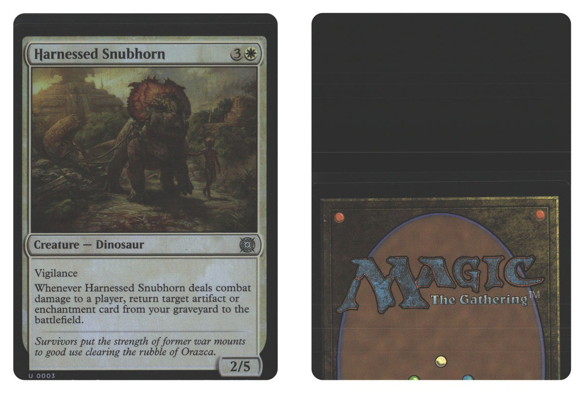 Front + Back scan