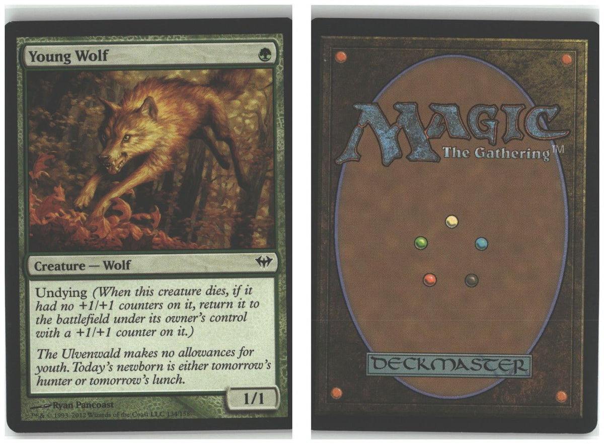 Front + Back scan