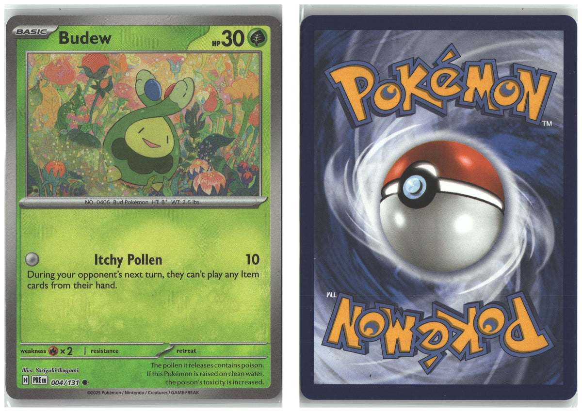 Front + Back scan