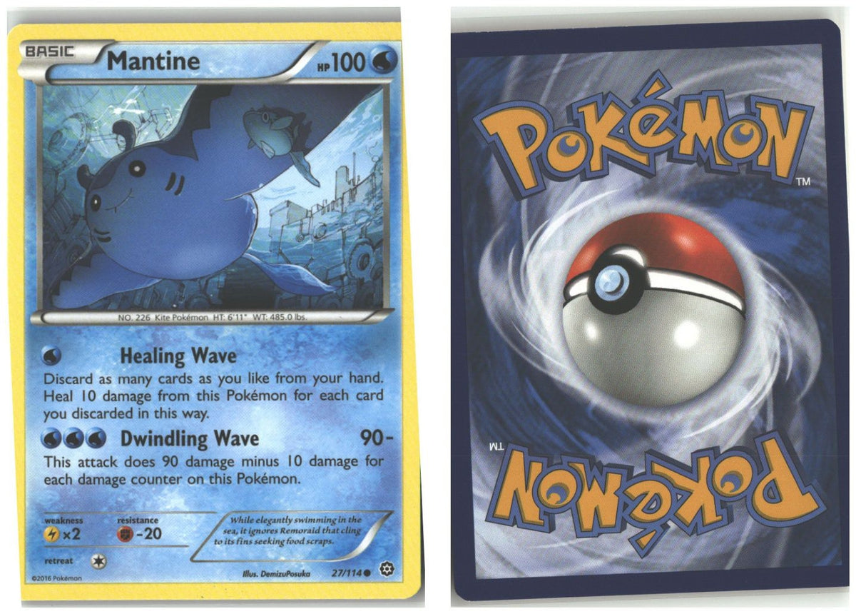 Front + Back scan