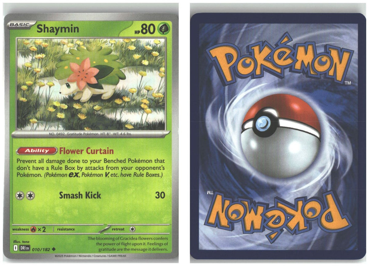 Front + Back scan