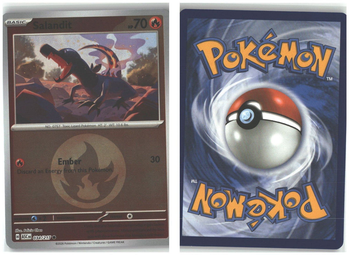 Front + Back scan