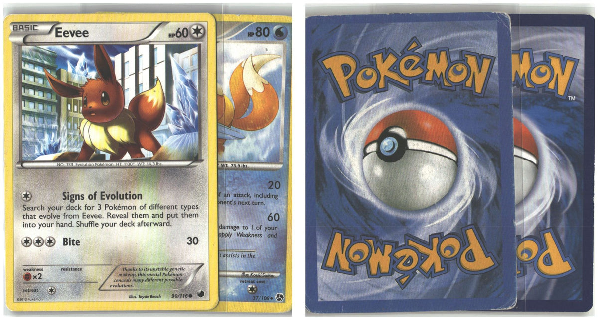 Front + Back scan