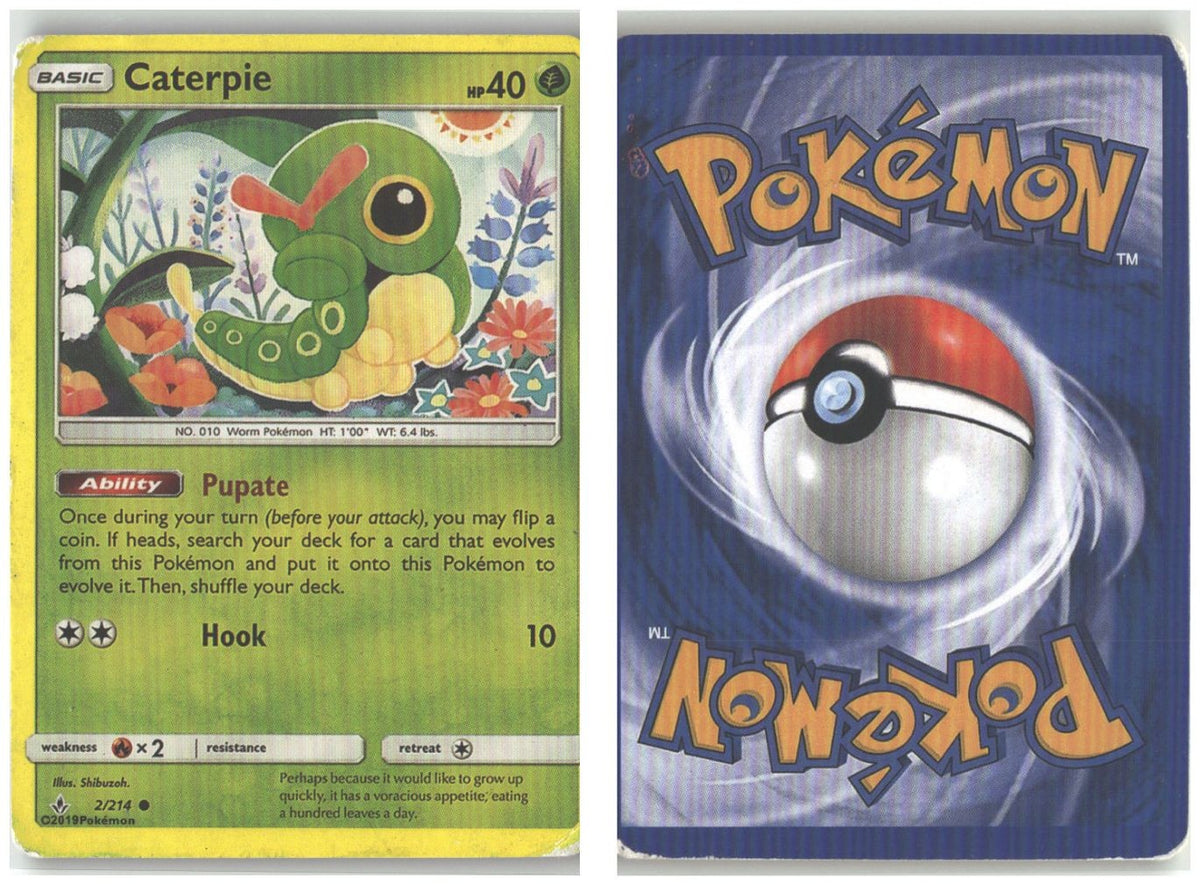 Front + Back scan