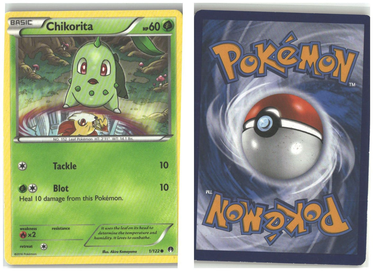 Front + Back scan