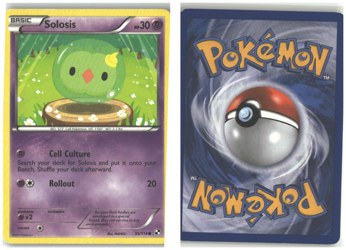 Front + Back scan