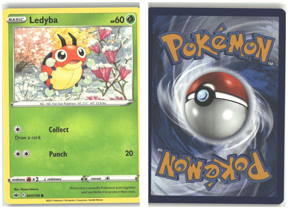 Front + Back scan