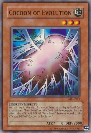 Cocoon of Evolution