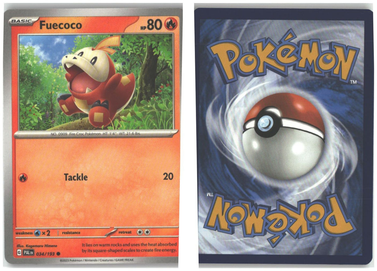 Front + Back scan