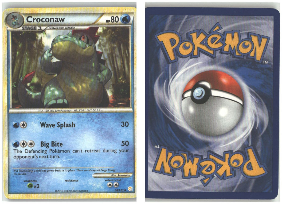 Front + Back scan