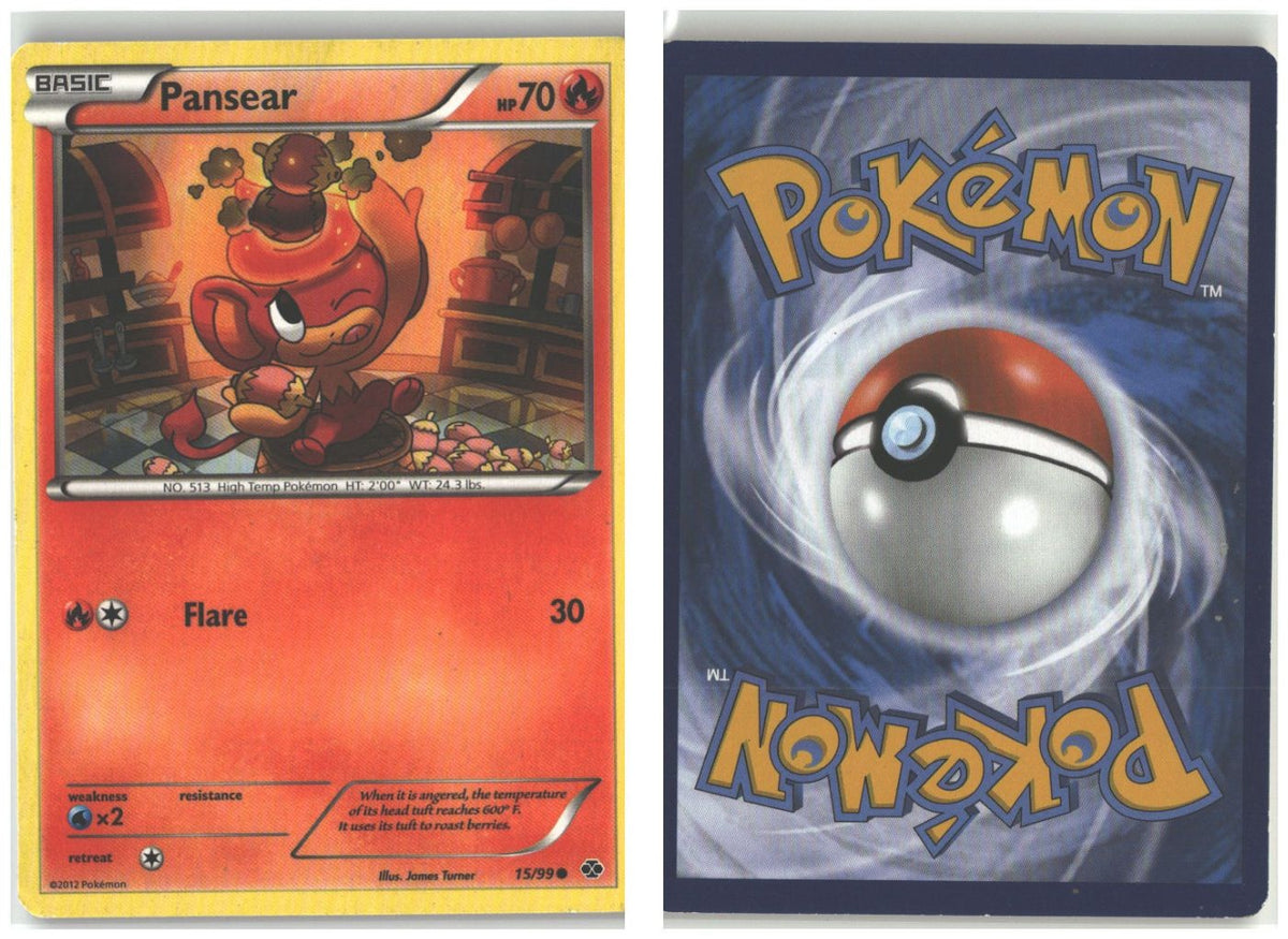 Front + Back scan