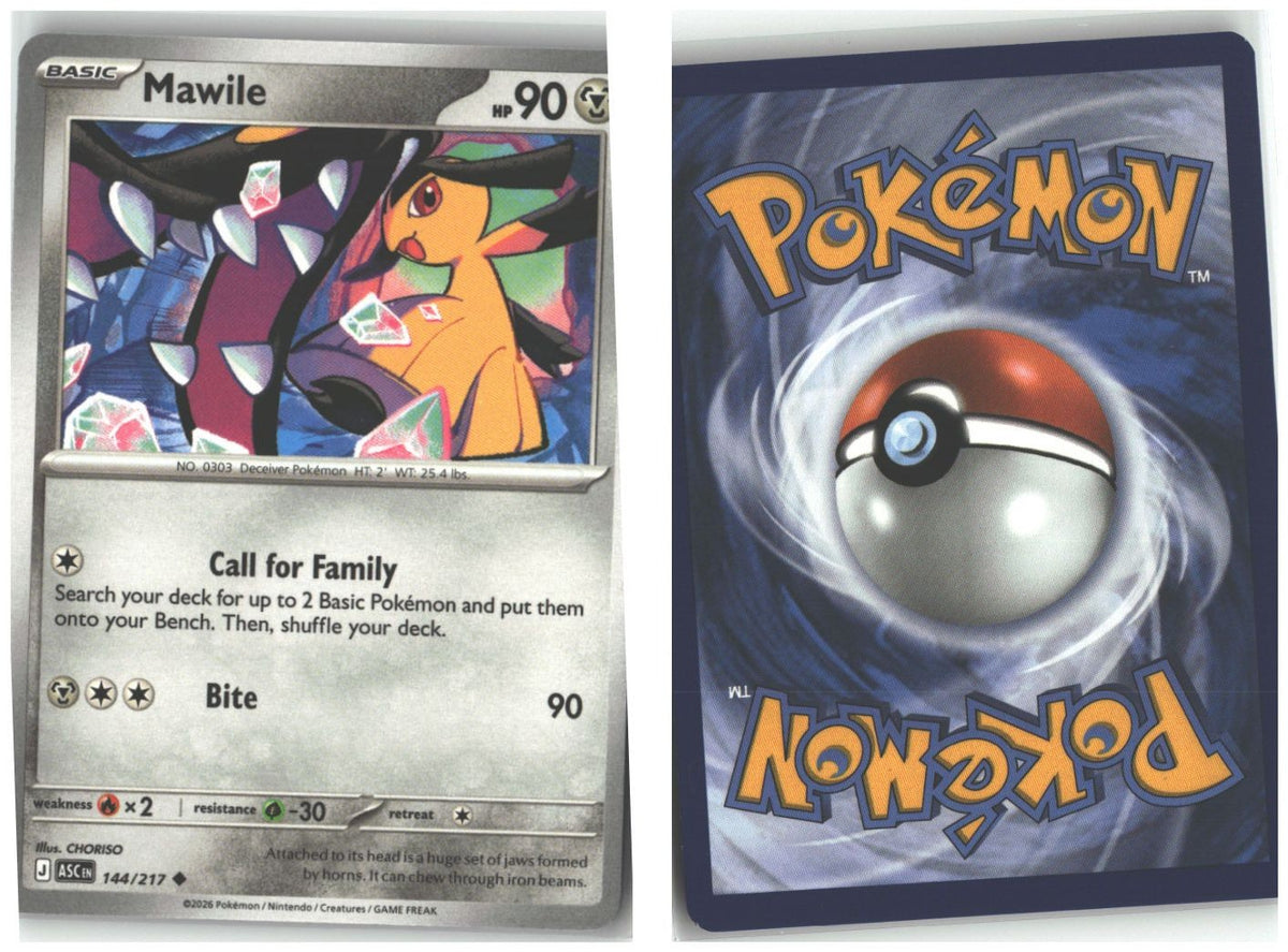 Front + Back scan