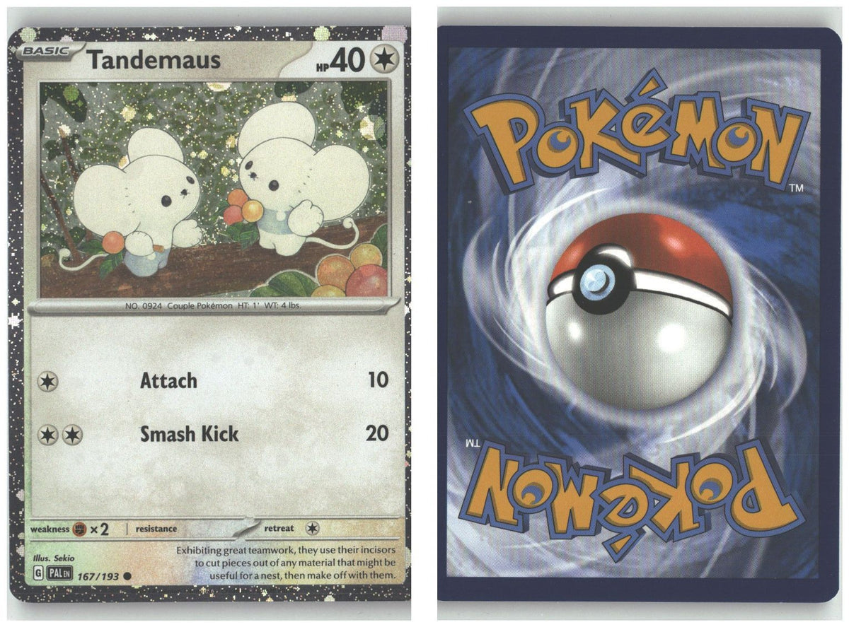 Front + Back scan