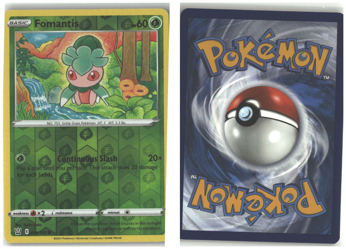 Front + Back scan
