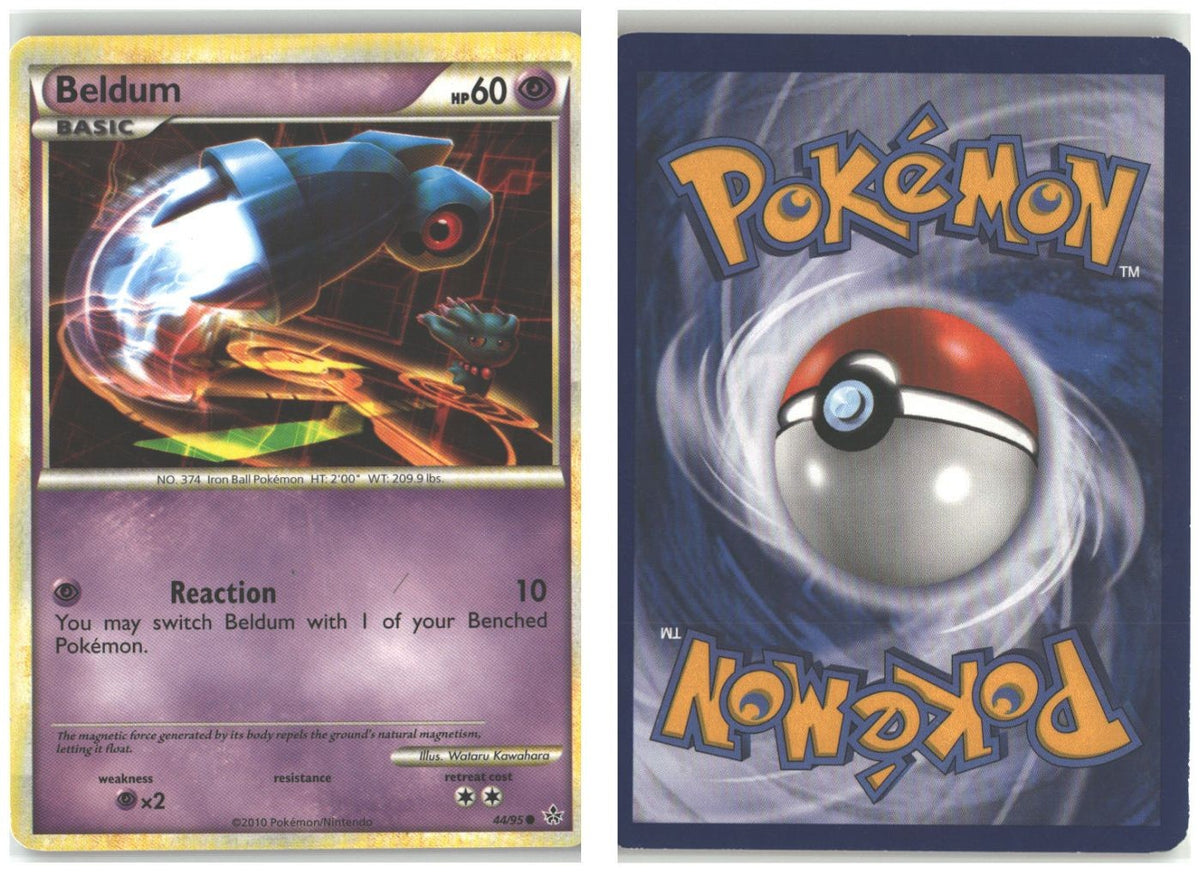 Front + Back scan