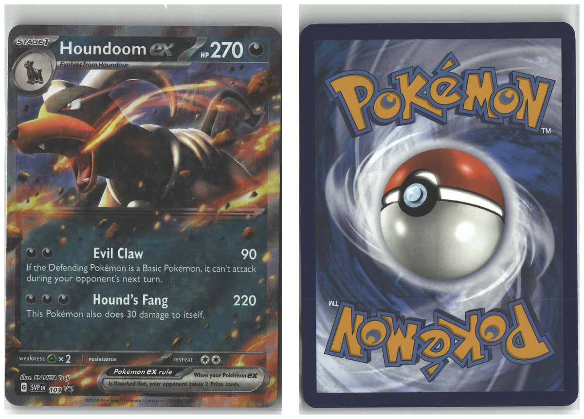Front + Back scan