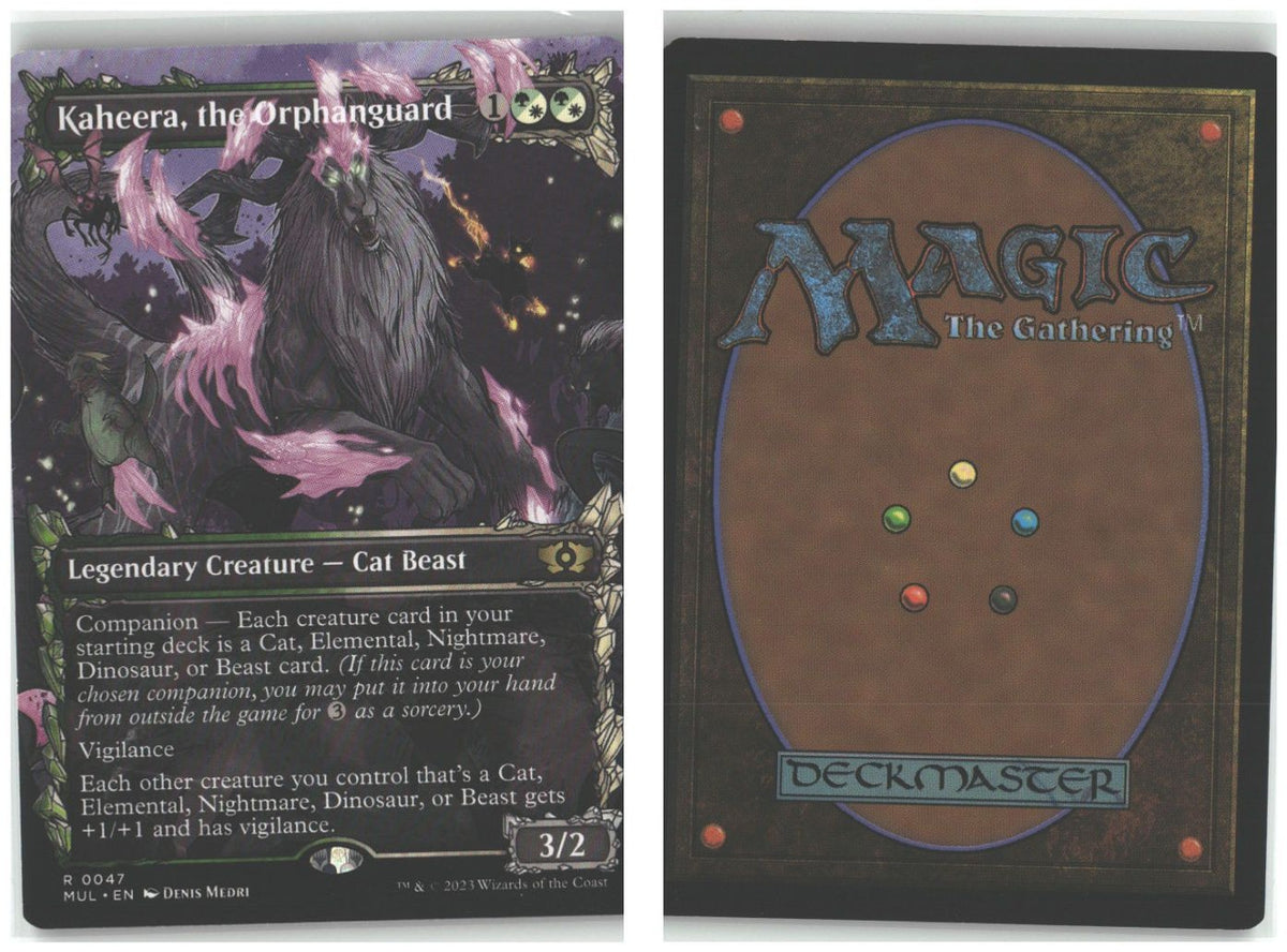 Front + Back scan
