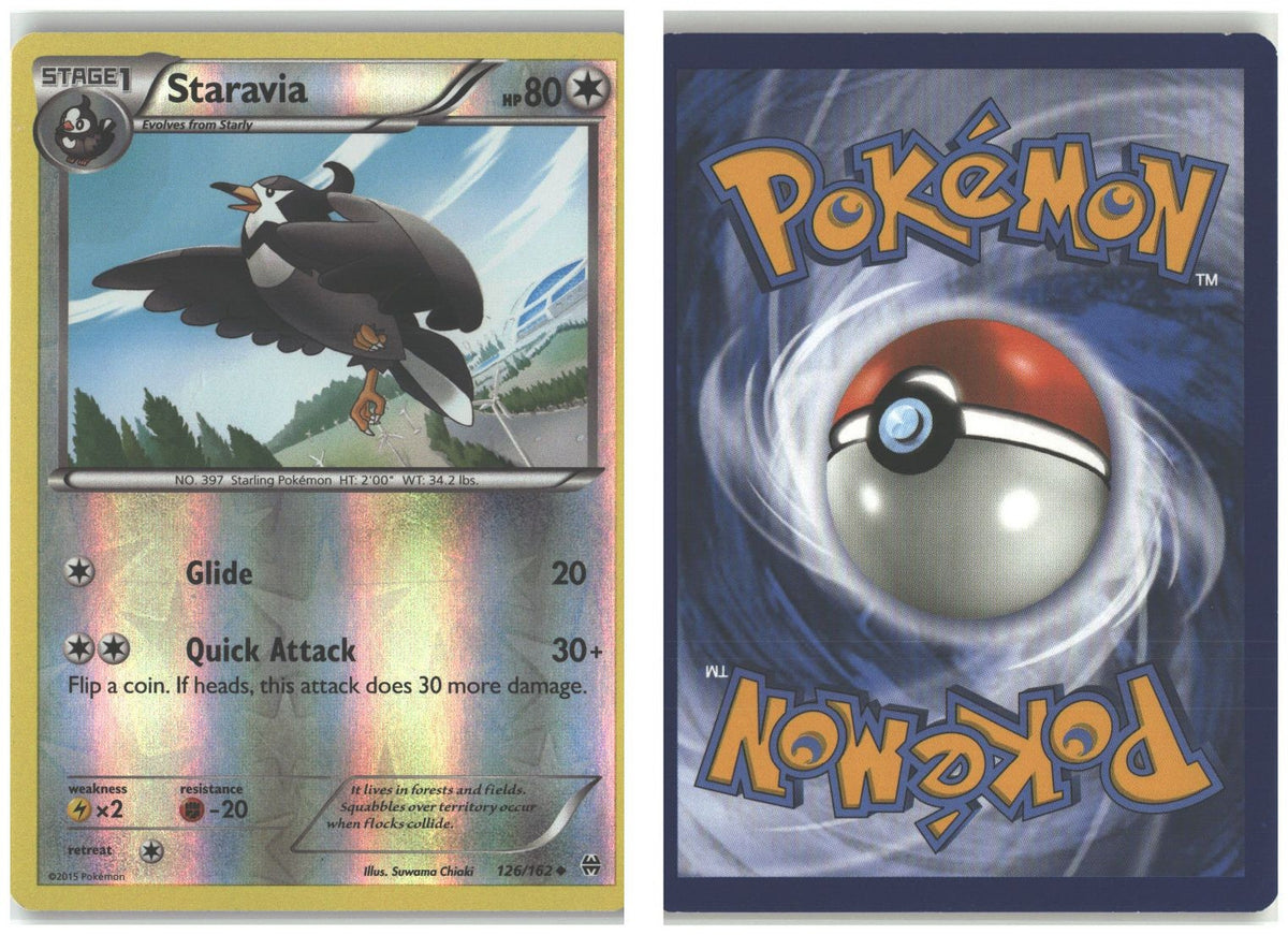 Front + Back scan