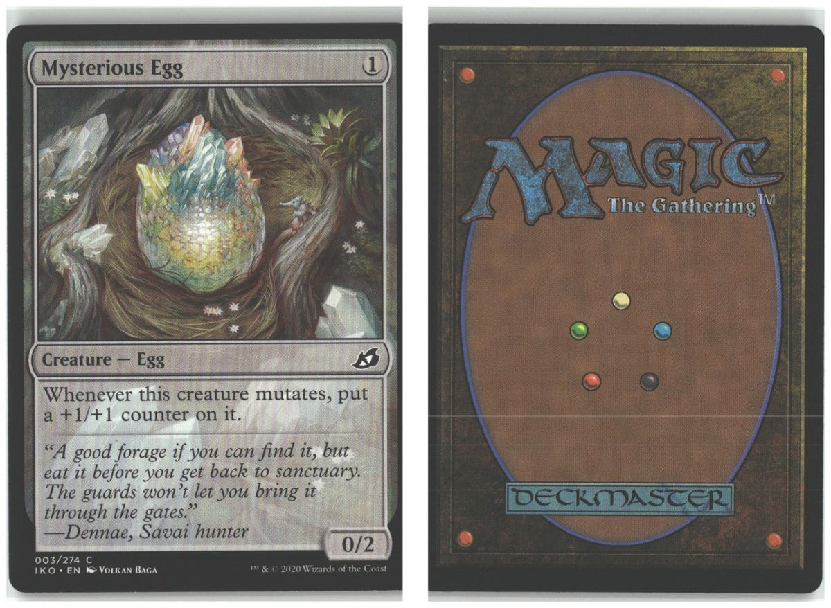 Front + Back scan