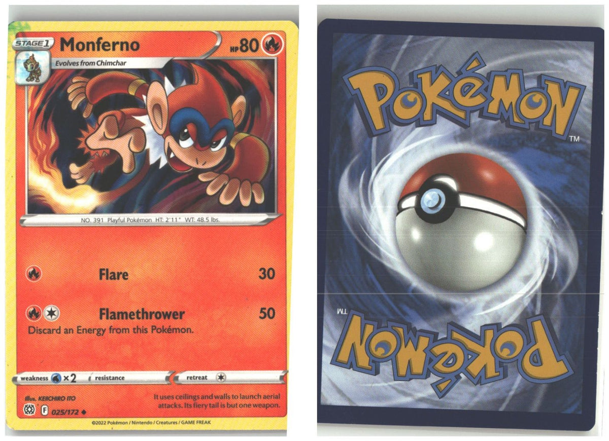 Front + Back scan