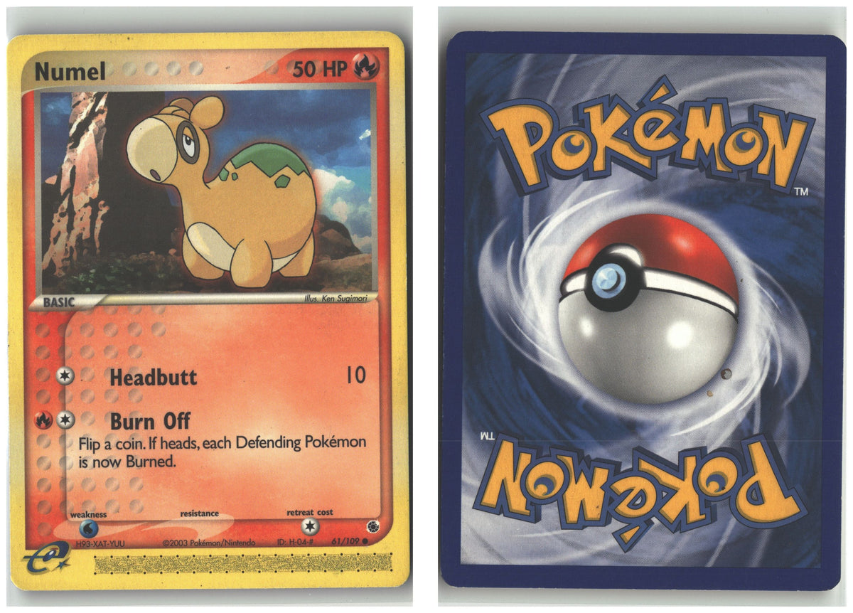 Front + Back scan