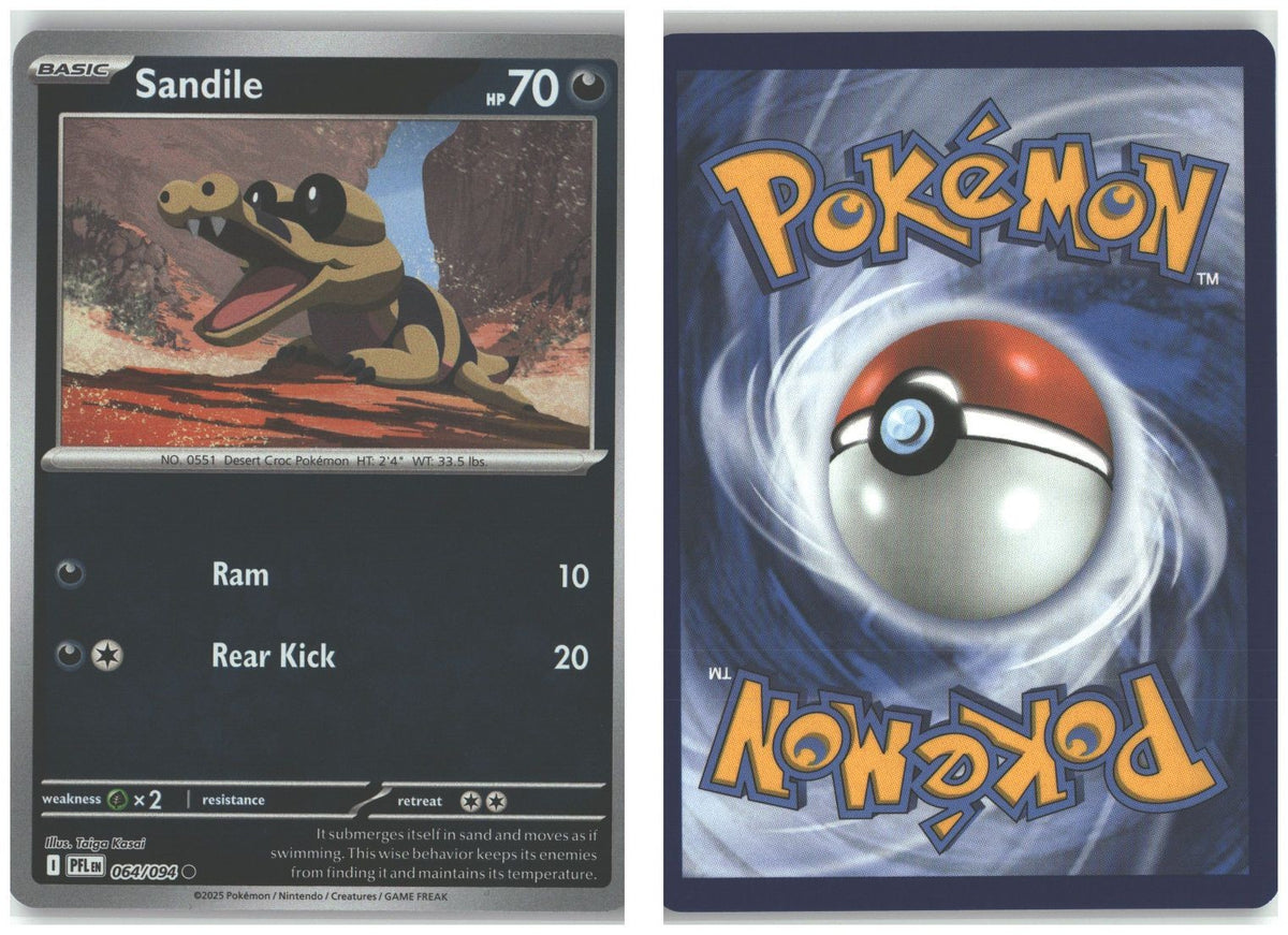 Front + Back scan