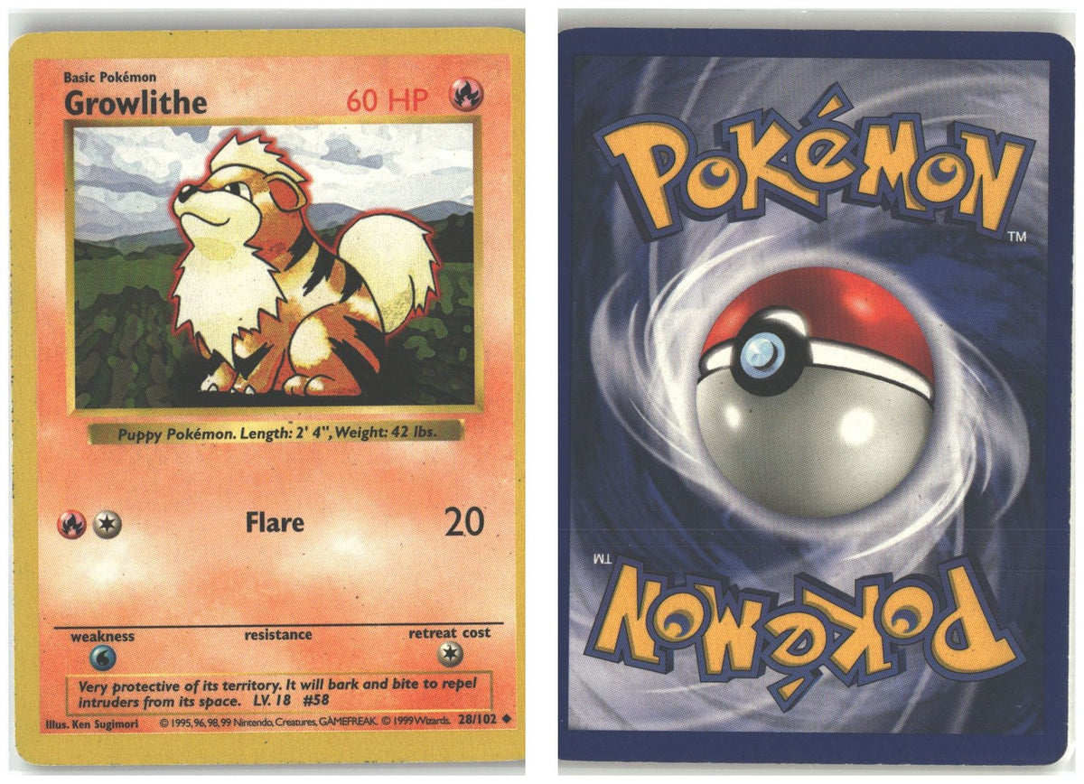 Front + Back scan
