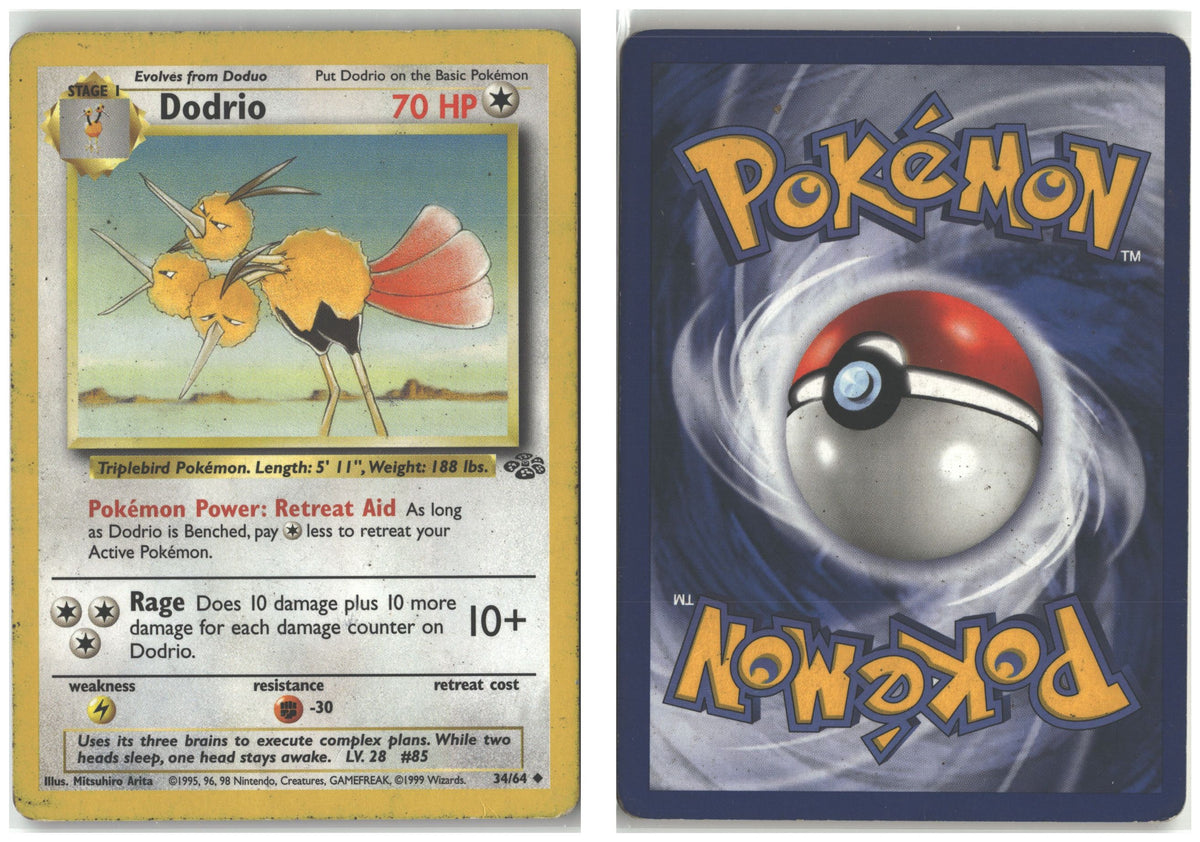 Front + Back scan
