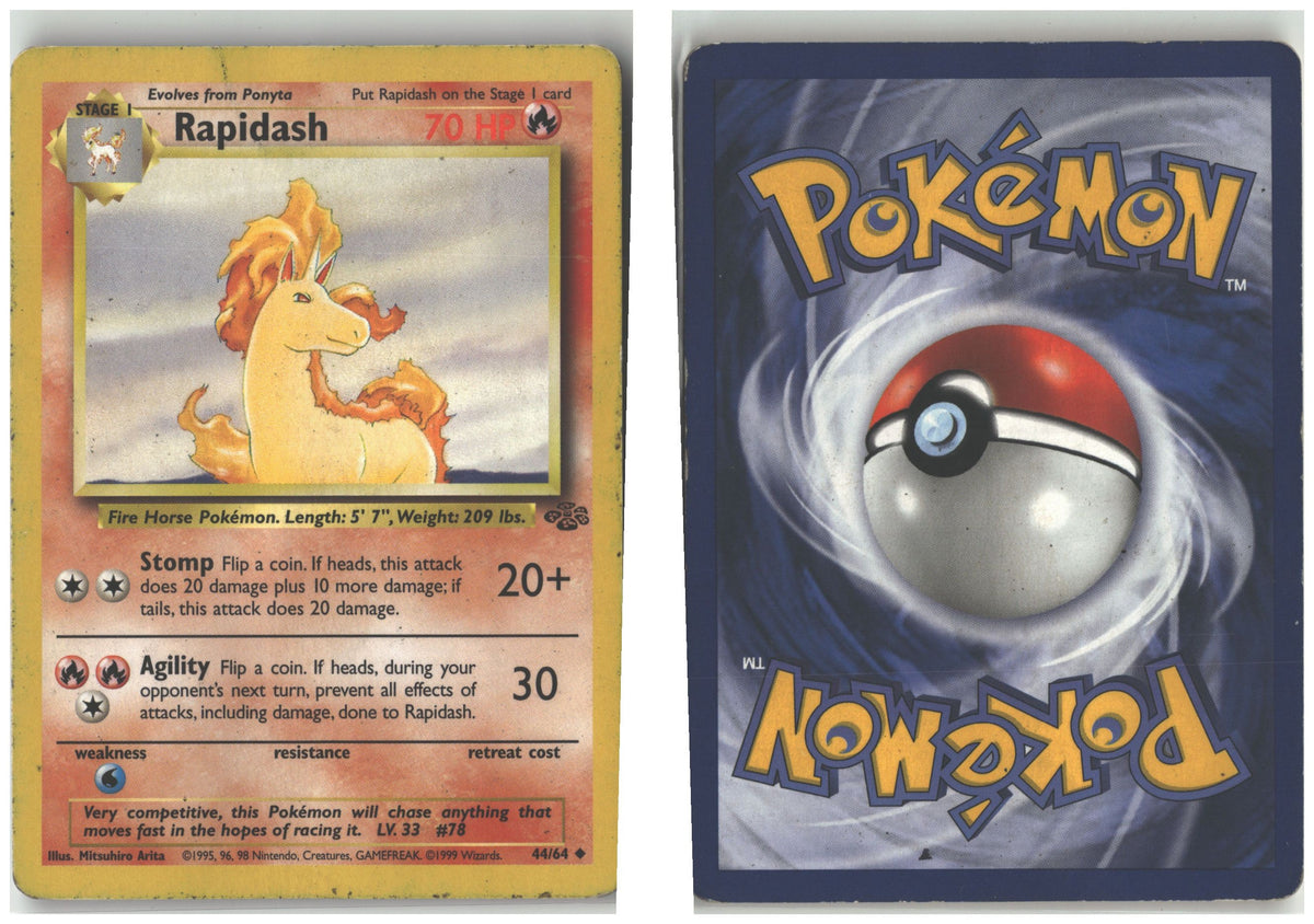 Front + Back scan