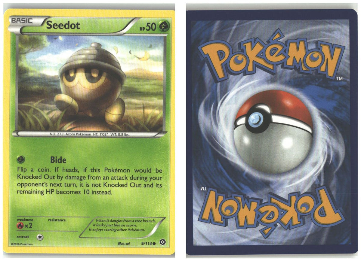 Front + Back scan